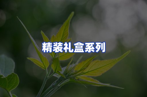 精装礼盒系列